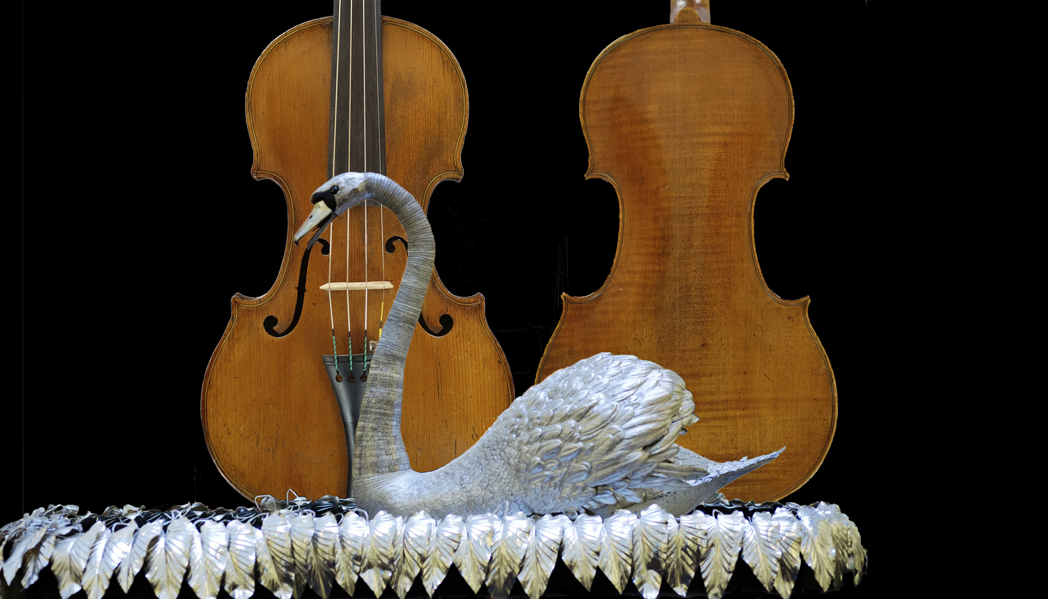 The Magic of the Silver Swan