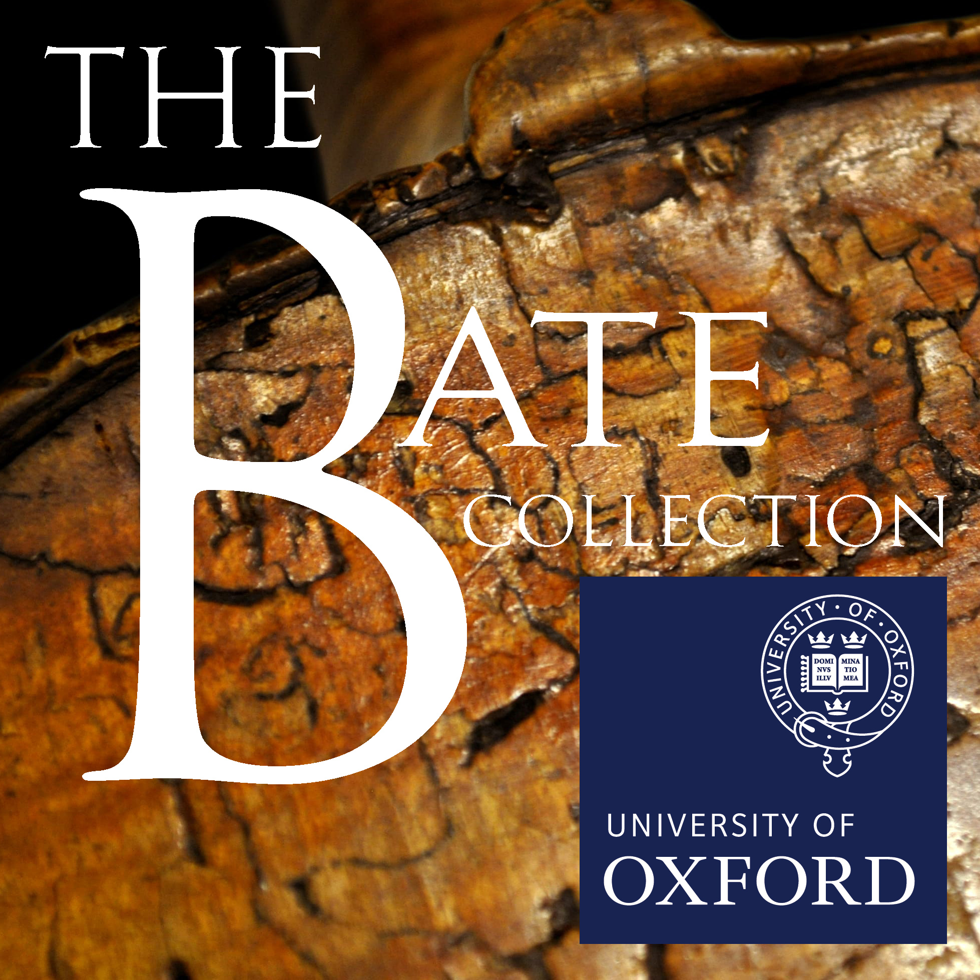 Associate Conservator, The Bate Collection